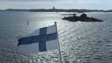 Фото - Таможня Финляндии расследует более 100 дел о поставках санкционных товаров в Россию