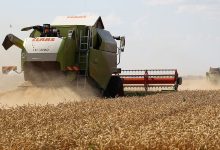 Фото - В Российском зерновом союзе заявили, что не ждут рекордного урожая в 2023 году