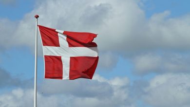 Фото - Danmarks Radio: в Дании из-за кризиса стали чаще воровать в магазинах