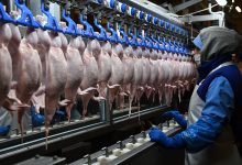Фото - «Ъ»: власти Белоруссии временно остановили поставки курицы и молочки в Россию