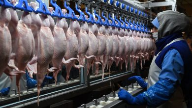 Фото - «Ъ»: власти Белоруссии временно остановили поставки курицы и молочки в Россию