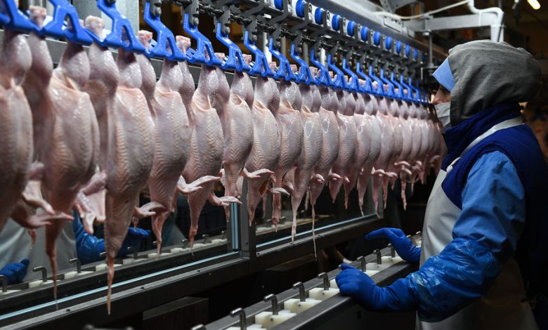 Фото - Иран впервые одобрил поставки птицеводческой продукции нескольким компаниям из России