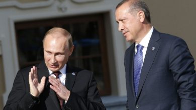 Фото - Путин и Эрдоган акцентировали важность выполнения зерновой сделки